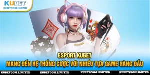 esport kubet ảnh đại diện