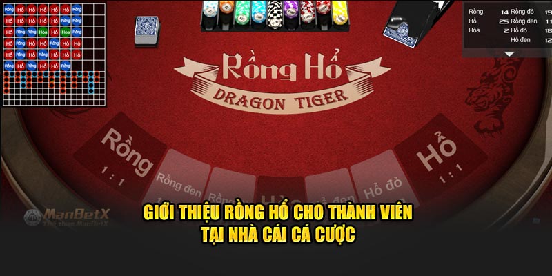 Giới thiệu một vài dữ liệu về trò chơi Rồng Hổ KUBET cho thành viên nhà cái 