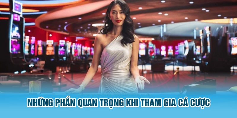 Những phần quan trọng khi tham gia cá cược 